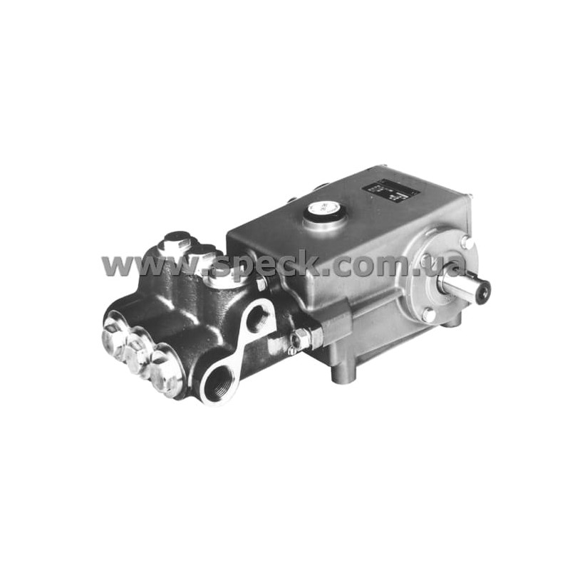 Насос Speck P41/58-110 фото