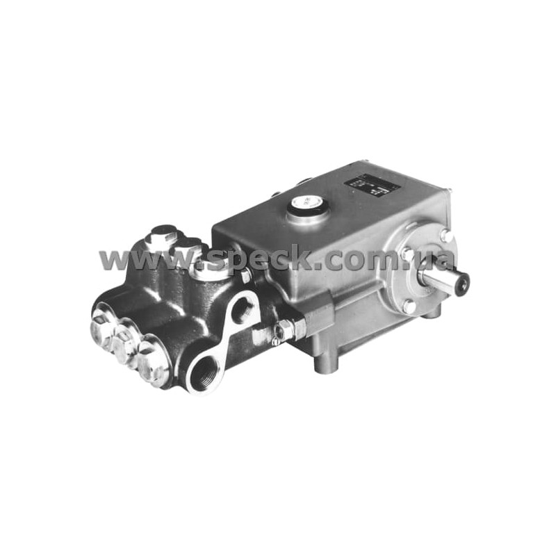 Насос Speck P41/70-110 фото