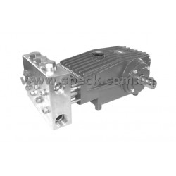 Насос Speck P45/46-320 фото