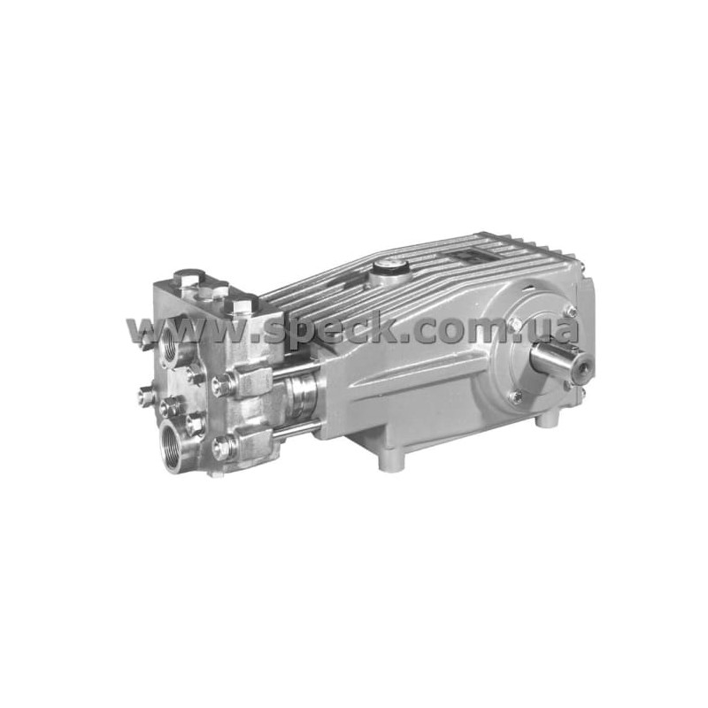 Насос Speck P45/60-250 фото