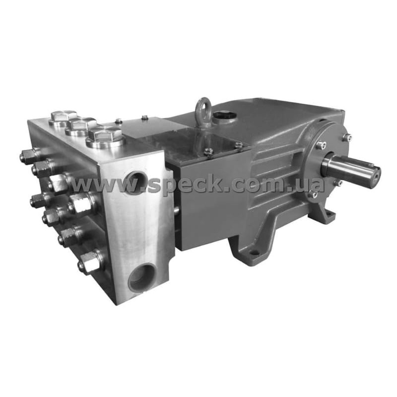 Насос Speck P62/70-300R фото