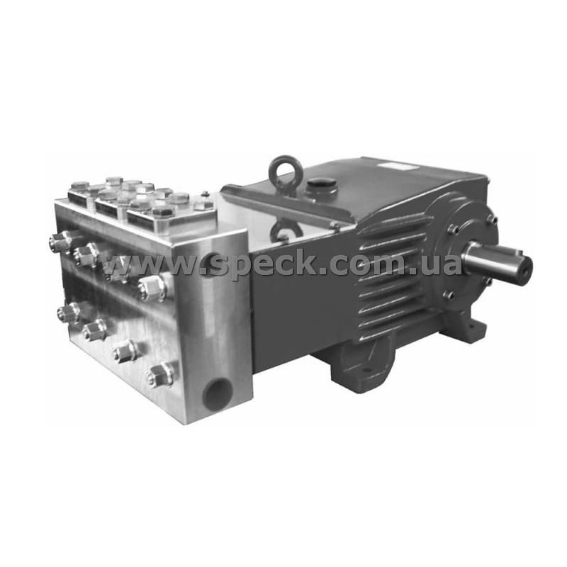 Насос Speck P71/90-300R фото