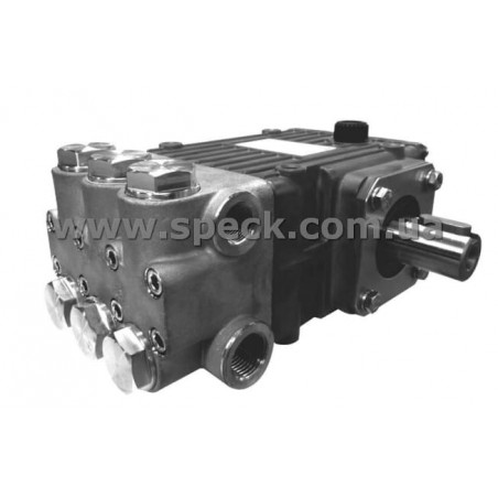 Насос Speck NP10/2-170RE фото