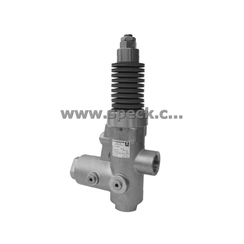 Байпасный клапан Speck UL 300/2H фото