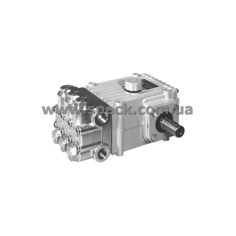 Насос Speck NP25/21-300 фото