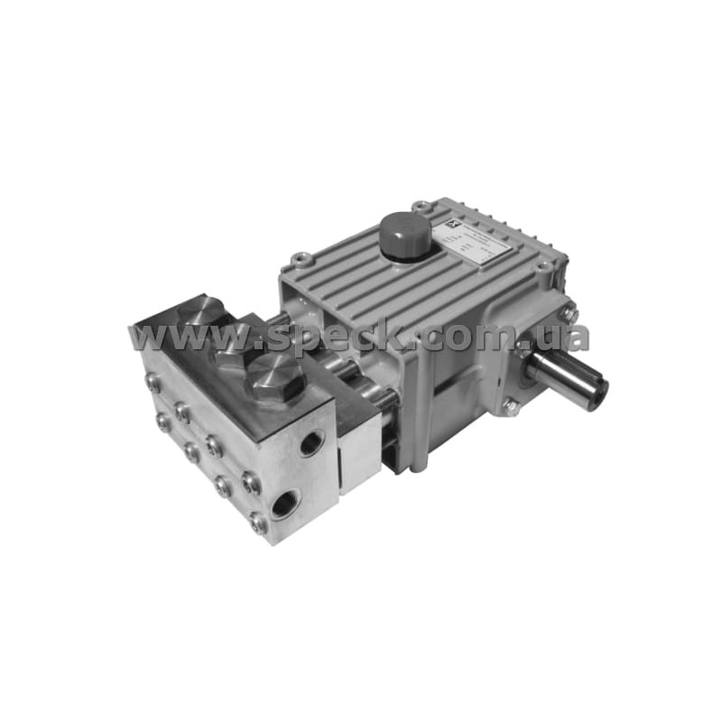 Насос Speck NP25/24-400 фото