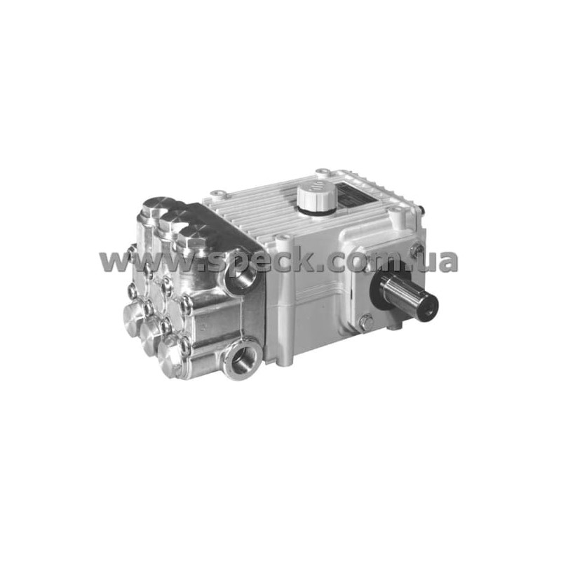 Насос Speck NP25/25-250 фото