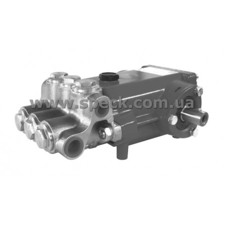 Насос Speck P21/5-450 фото