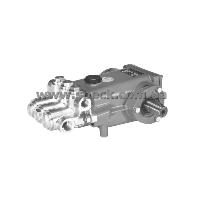 Насос Speck P30/36-150 фото