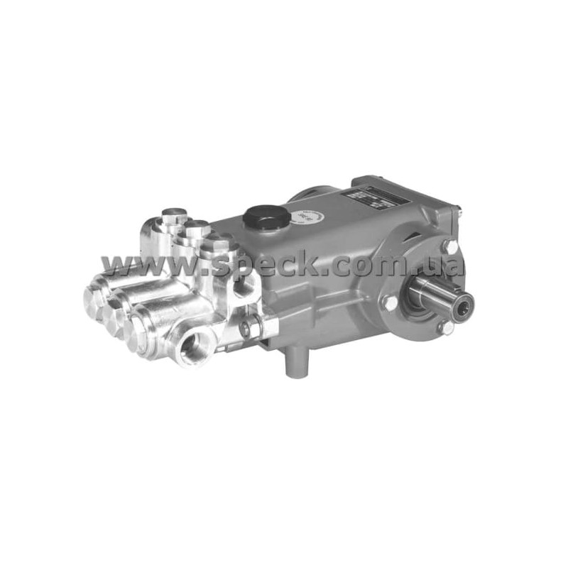 Насос Speck P31/25-220 фото