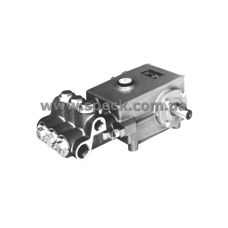 Насос Speck P41/33-250 фото