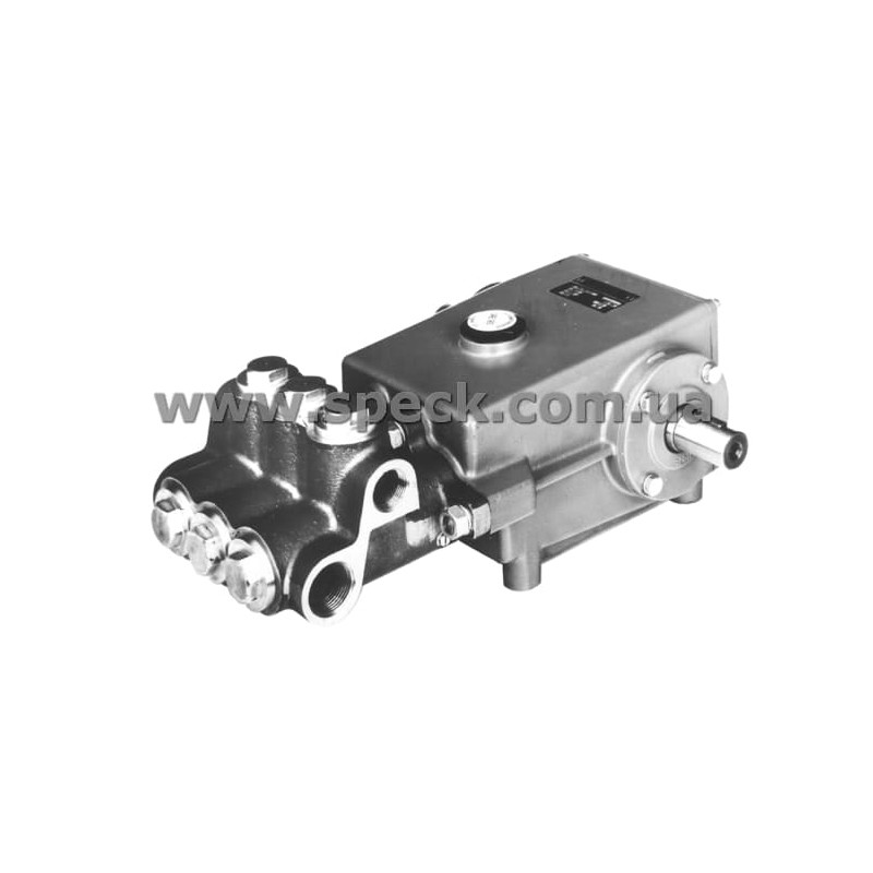 Насос Speck P41/48-180 фото